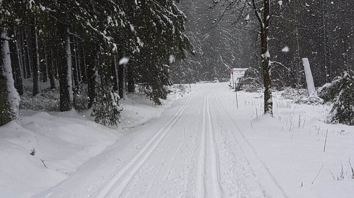 Schneefall im Harz